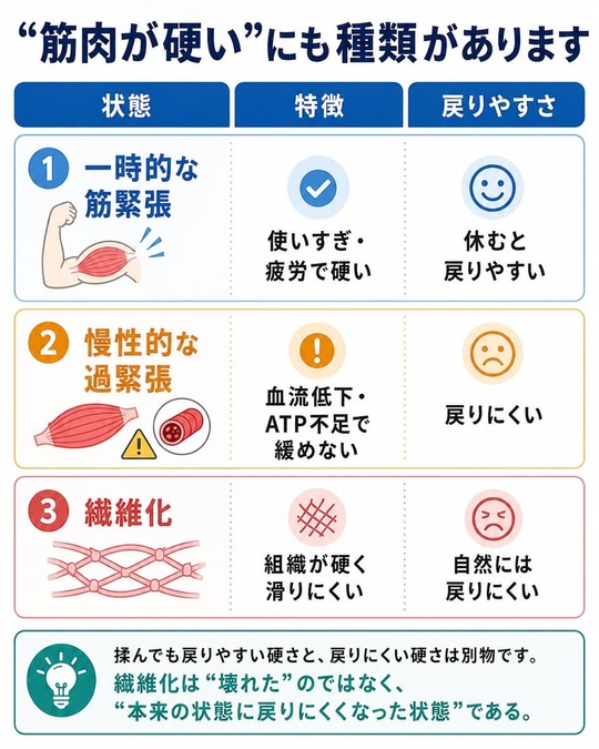 筋肉疲労が病気の原因だった!?: 最新医学が解明する奇跡の触手療法